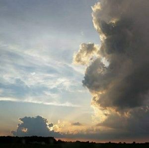 Meet your Posher, Krystal